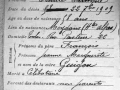 Fiches_Genealogiques_05